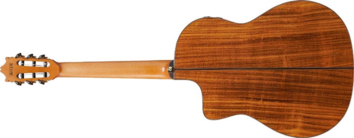 Entire back of the  GA360TCE-NT