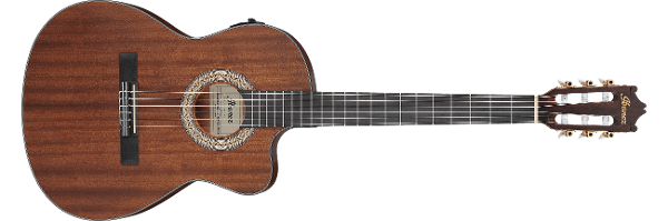 Ibanez nylon string acoustic electric guitar deals