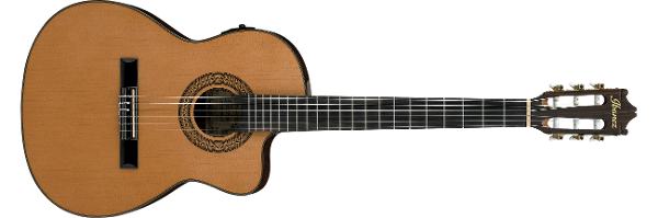 CLASSICAL PRODUCTS Ibanez guitars