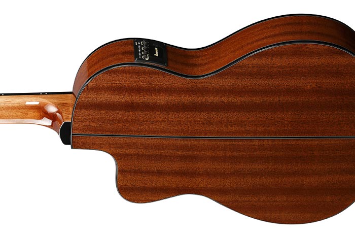 Back of the GA5TCE-AM's body