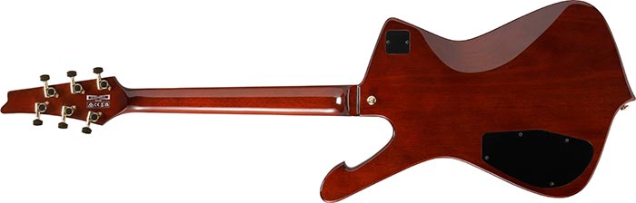 Entire back of the IC420FM-TBG