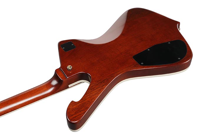 Back of the IC420MFM-CML's body