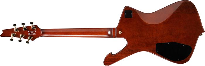 Entire back of the IC420MFM-CML