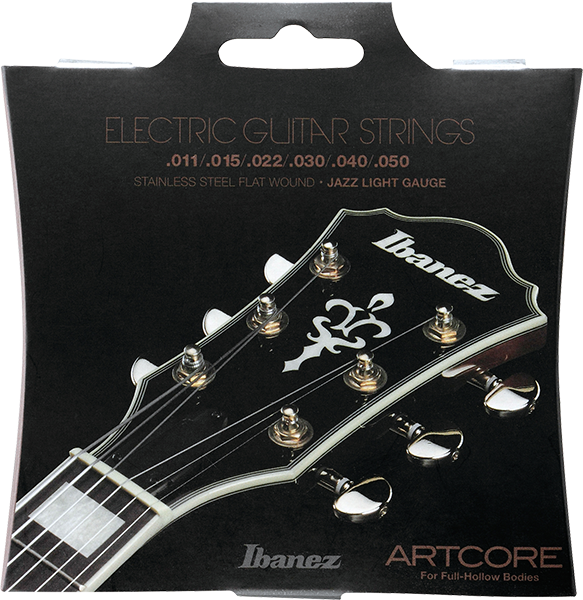 Ibanez accessories store