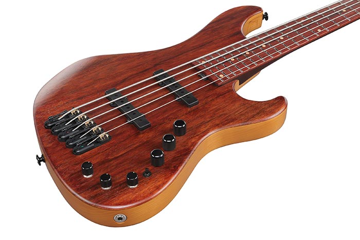 Top of the IV2MDM's body