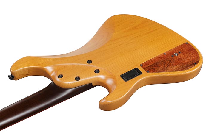 Back of the IV2MDM's body