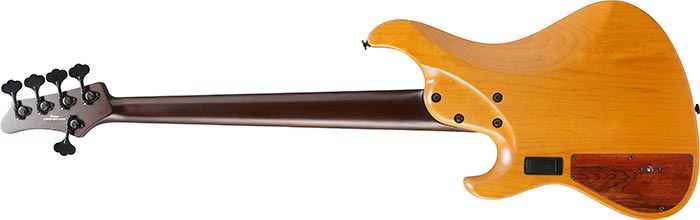 Entire back of the IV2MDM