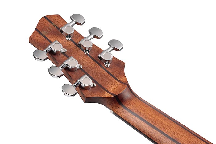 Back of the JGM5-BSN's headstock
