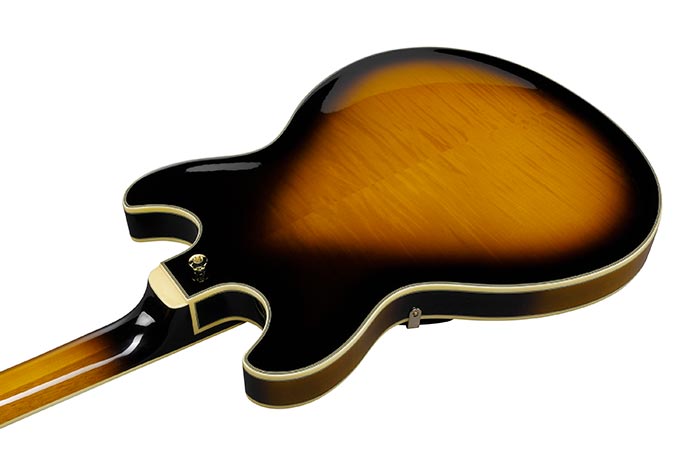 Ibanez jsm 10 2025