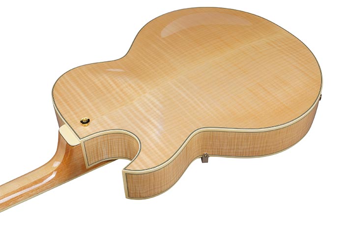 Back of the LGB30-NT's body