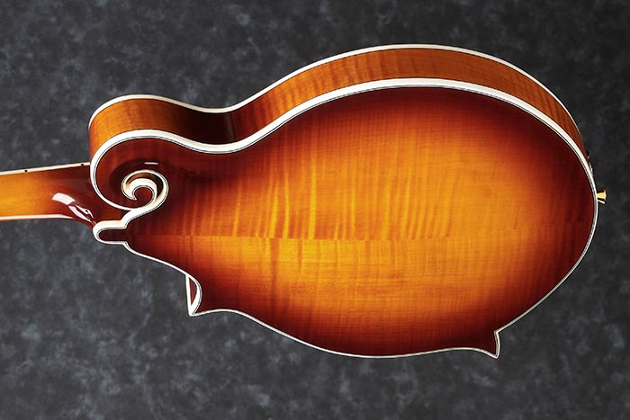Ibanez m700 mandolin best sale