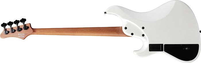 Entire back of the MDM1000-PW