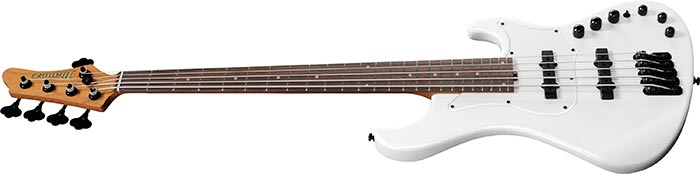 Entire top of the MDM1005-PW