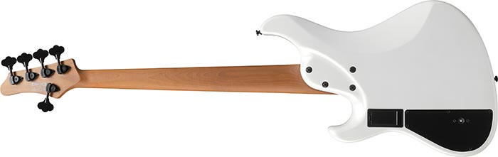 Entire back of the MDM1005-PW