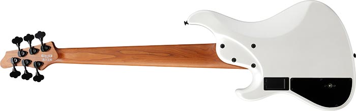 Entire back of the MDM1006-PW