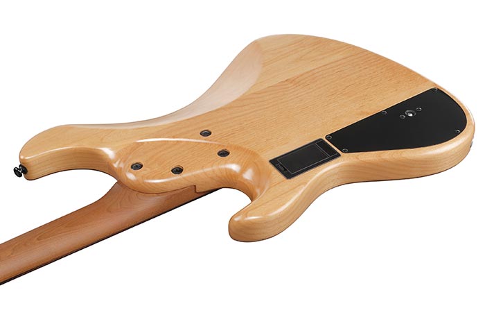 Back of the MDM1600-NML's body