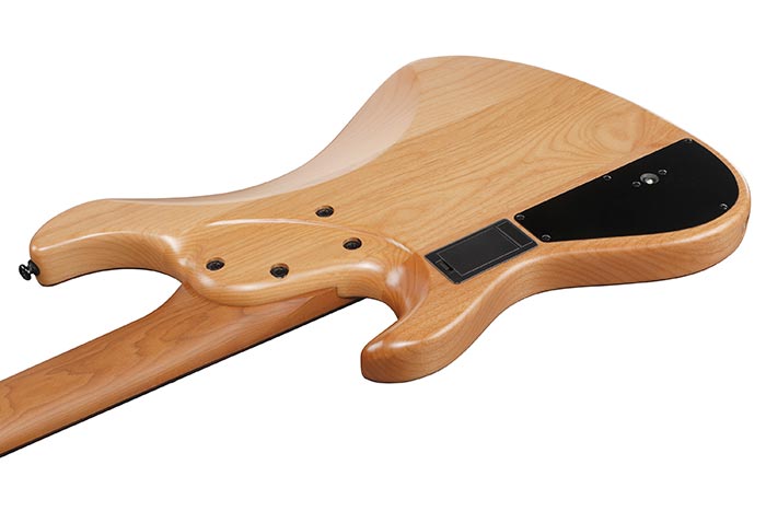 Back of the MDM1605-NML's body