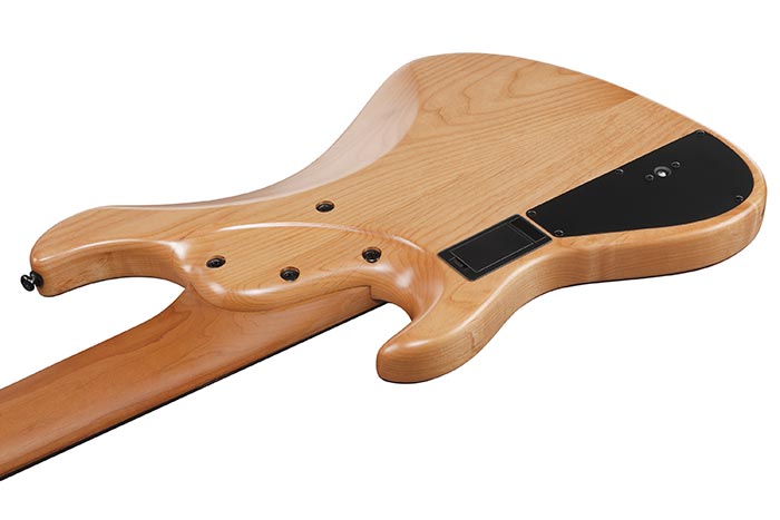 Back of the MDM1606-NML's body