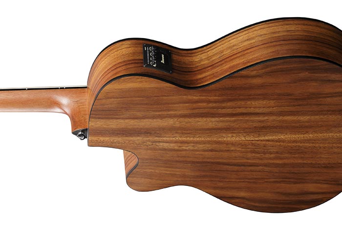 PC50WSCE | PF | ACOUSTIC GUITARS | PRODUCTS | Ibanez guitars