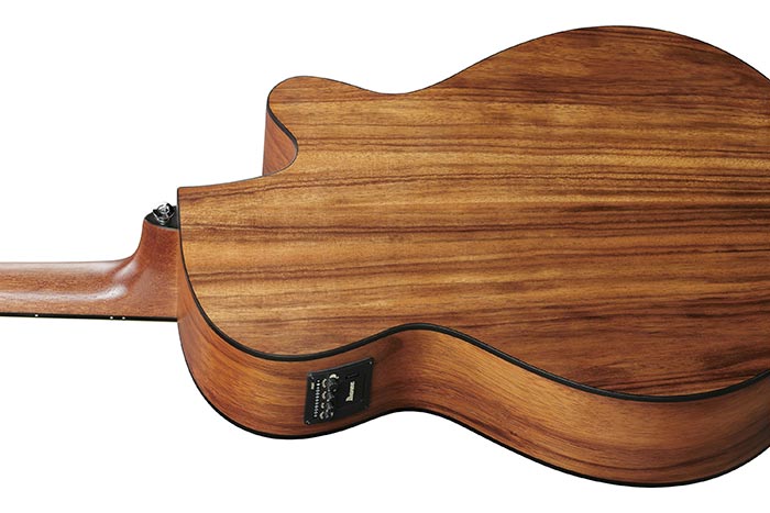 Back of the PC50WSLCE-OPB's body