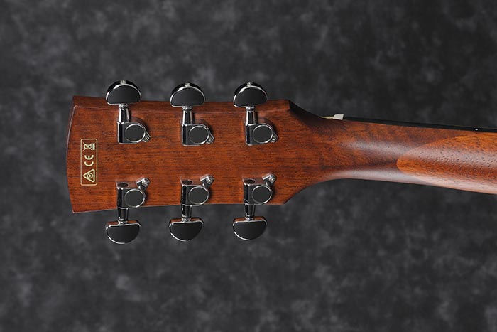 Back of the PF10CE-OPN's headstock