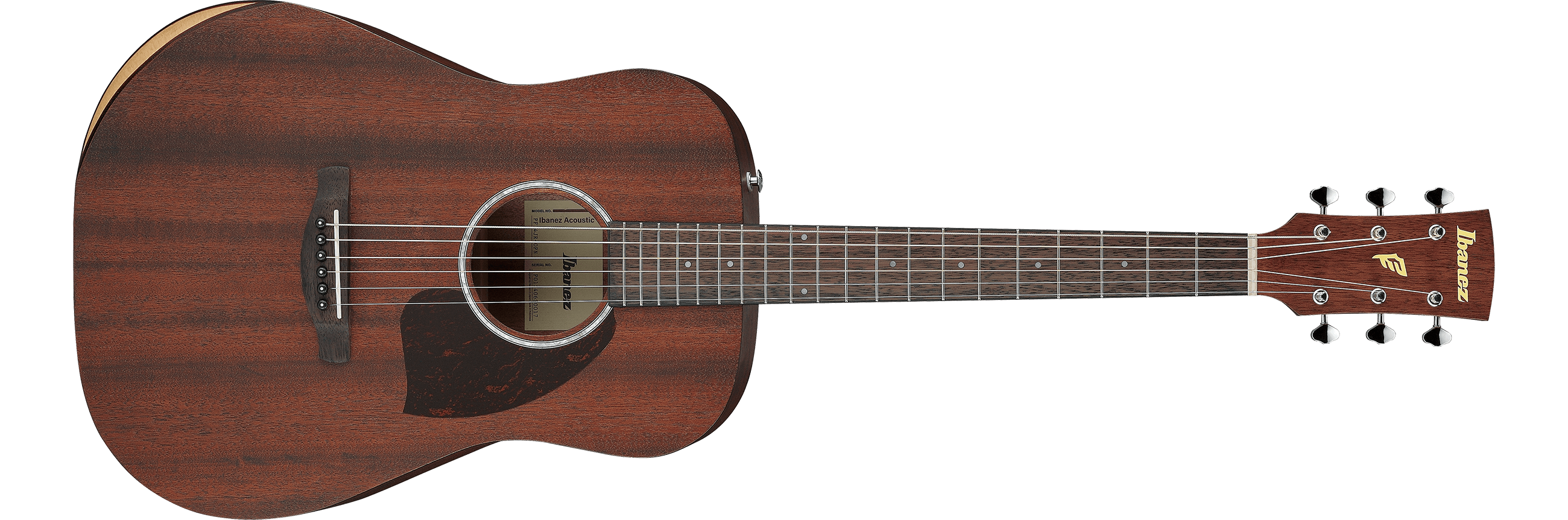 Ibanez AE205JR Acoustic-Electric Guitar - Open Pore Natural
