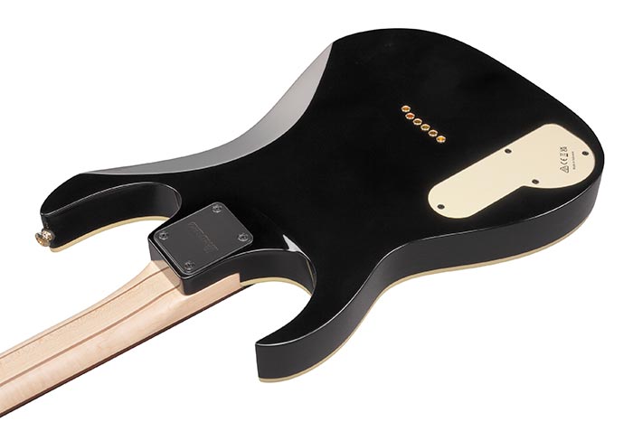 Ibanez pgm top