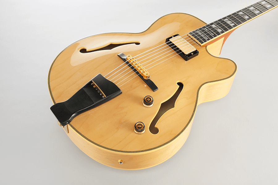 PM200 PM HOLLOW BODIES PRODUCTS Ibanez guitars