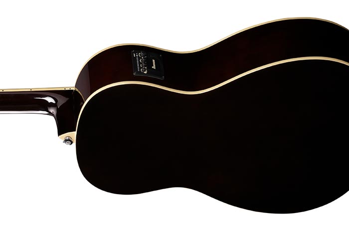 PN12E PF ACOUSTIC GUITARS PRODUCTS Ibanez guitars