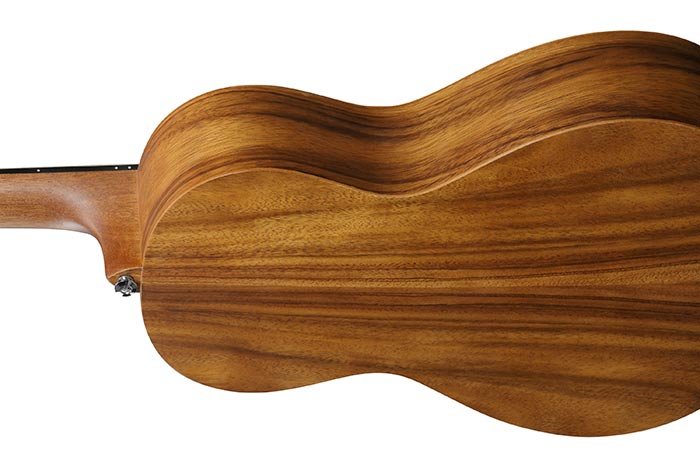 Back of the PN2WS-OPB's body