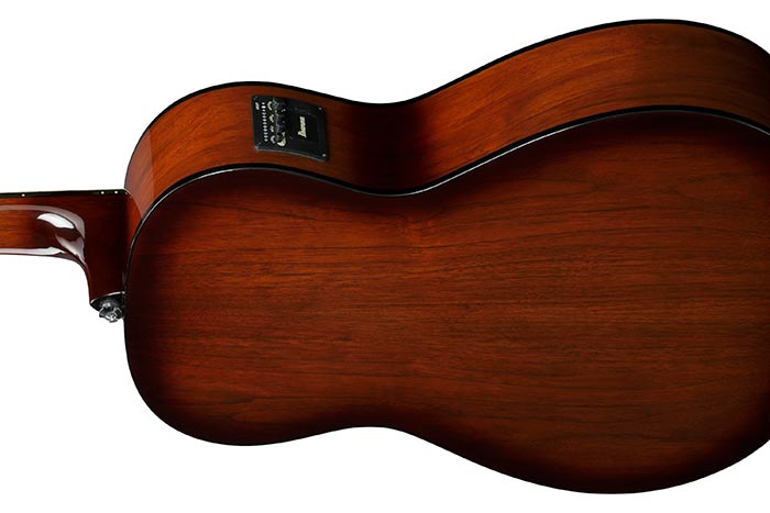 Back of the PN50TKE-NDH's body