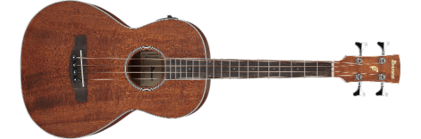 Ibanez PNB14E-OPN アコースティックベース / 新品BN弦交換済 PNB14E | ACOUSTIC BASS | ACOUSTIC GUITARS | PRODUCTS