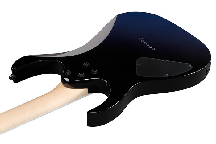 Back of the RG421DX-TWS's body