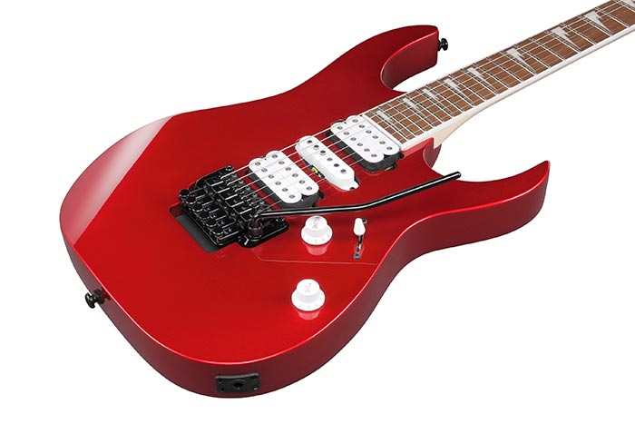 Top of the RG470DXW-CA's body