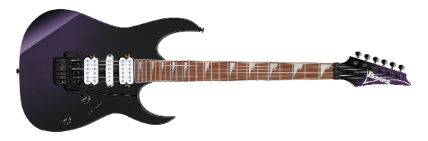 RG PRODUCTS Ibanez guitars