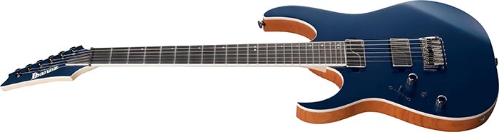 Entire top of the  RG5121L-DBF
