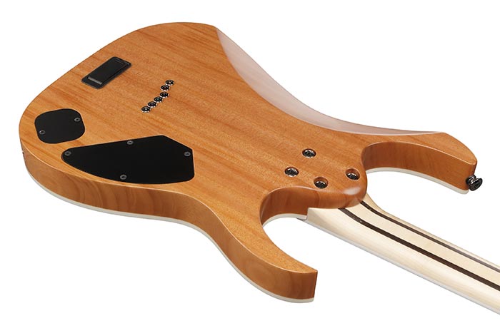 Back of the RG5121RL-DBF's body