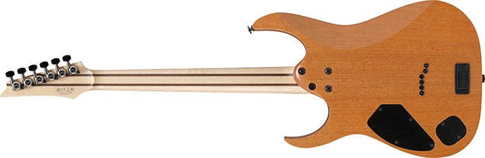 Entire back of the RG5121R-DBF