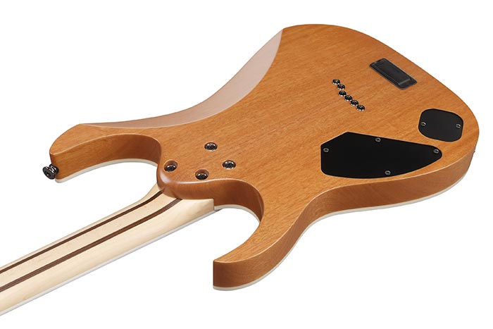 Back of the RG5121-DBF's body