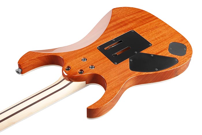 Back of the RG5320RC-DFM's body