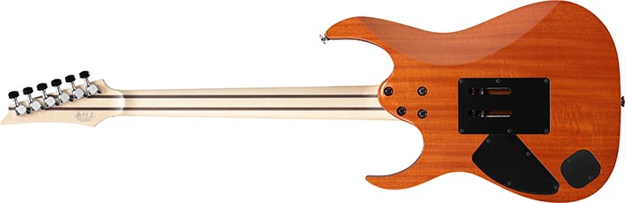 Entire back of the RG5320RC-DFM