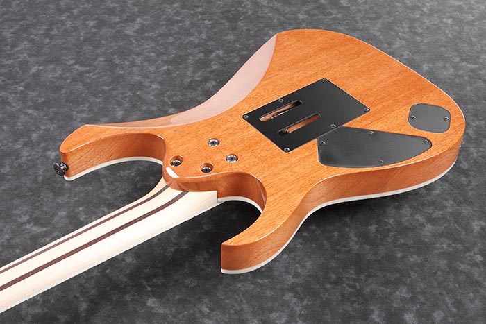 Back of the RG5320R-CSW's body