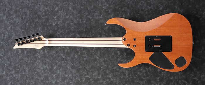 RG5320 RG ELECTRIC GUITARS PRODUCTS Ibanez guitars