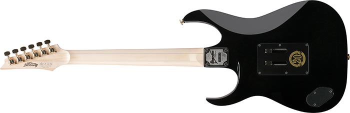 RG550DFS-BK全体背面照片