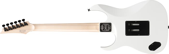 Entire back of the  RG550-WHF