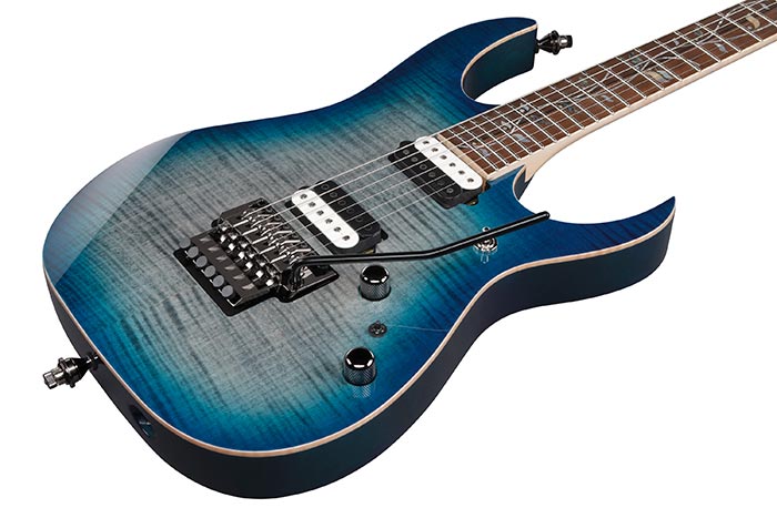 Top of the RG8520-SDE's body