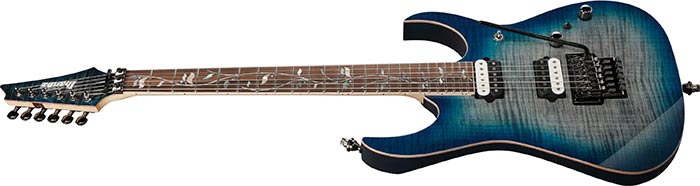 Entire top of the RG8520-SDE