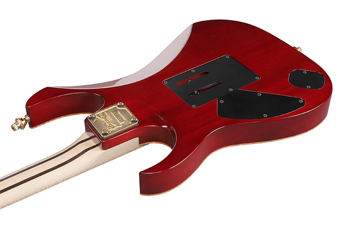 Back of the RG8565R-CWR's body
