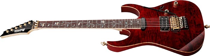 Entire top of the RG8565R-CWR