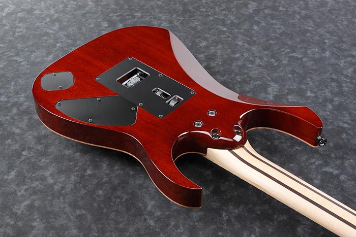 Back of the RG8570ZL-BSR's body
